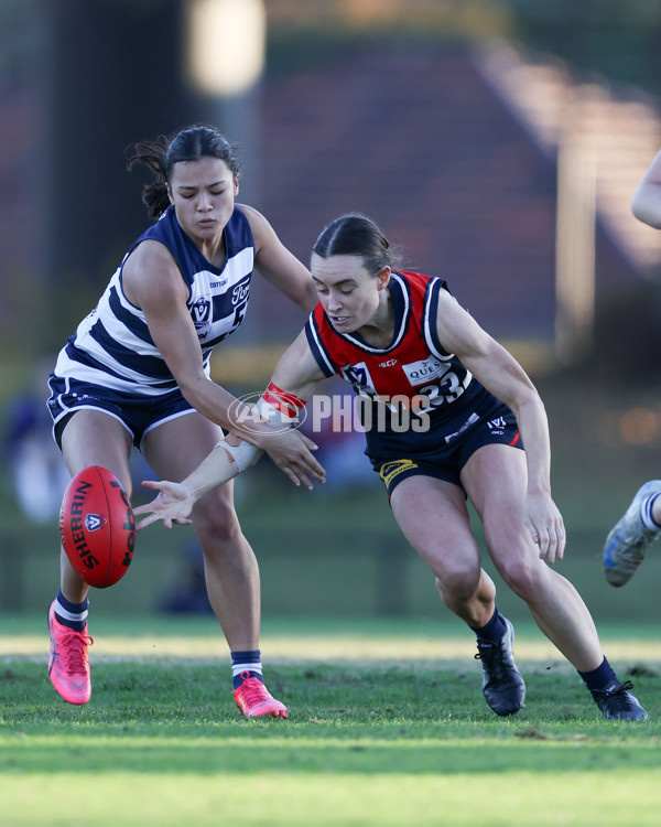 VFLW 2025 Round 07 - Darebin Falcons v Geelong Cats - A-59777594
