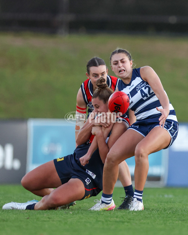 VFLW 2025 Round 07 - Darebin Falcons v Geelong Cats - A-59777599