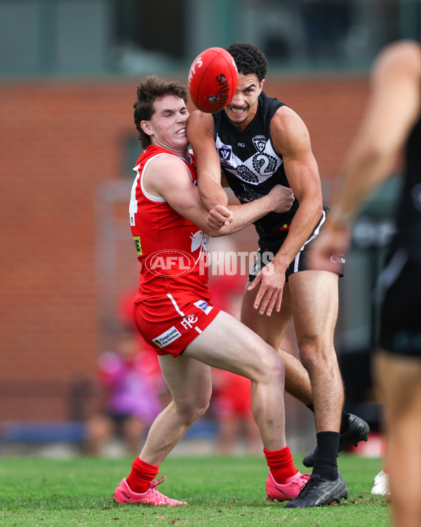 VFL 2025 Round 10 - Northern Bullants v Southport Sharks - A-59779506