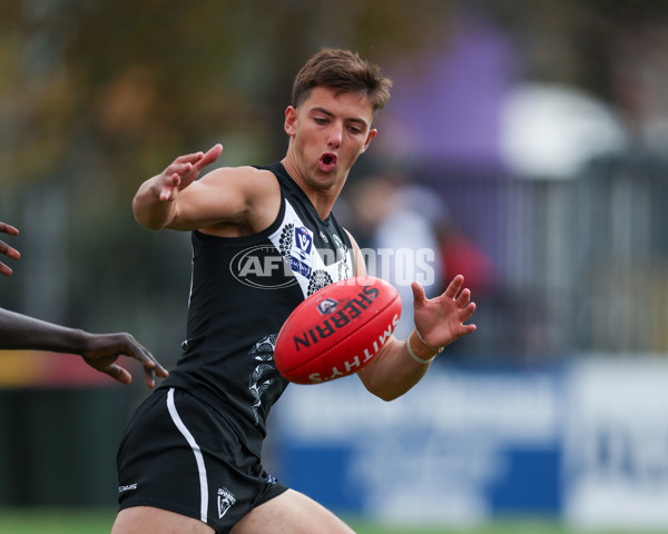 VFL 2025 Round 10 - Northern Bullants v Southport Sharks - A-59779511