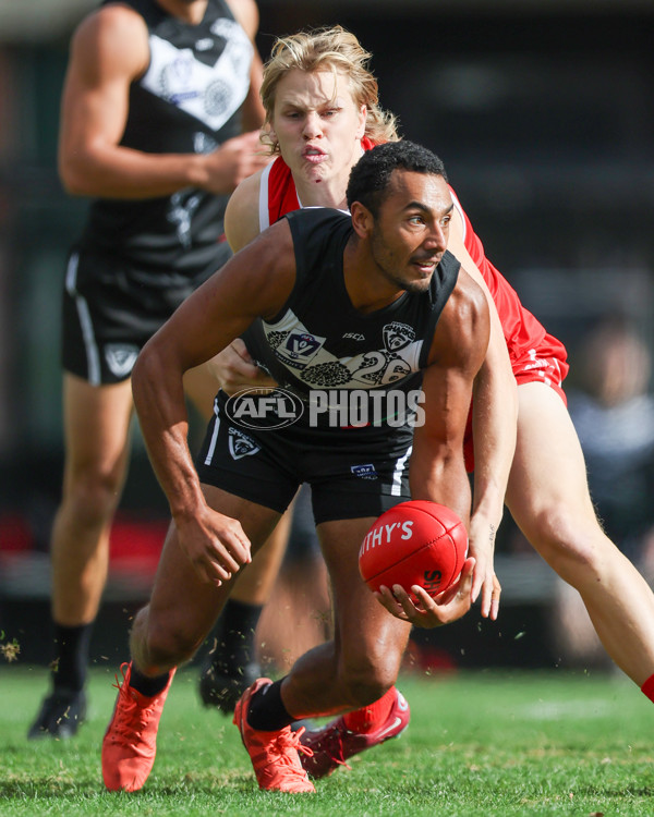 VFL 2025 Round 10 - Northern Bullants v Southport Sharks - A-59779545
