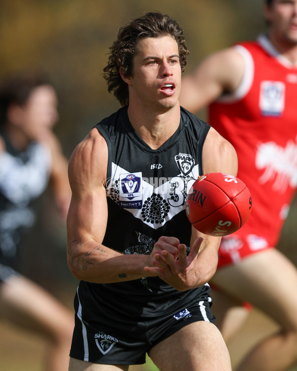 VFL 2025 Round 10 - Northern Bullants v Southport Sharks - A-59779549