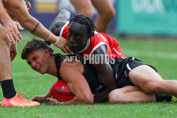 VFL 2025 Round 10 - Northern Bullants v Southport Sharks - A-59779551