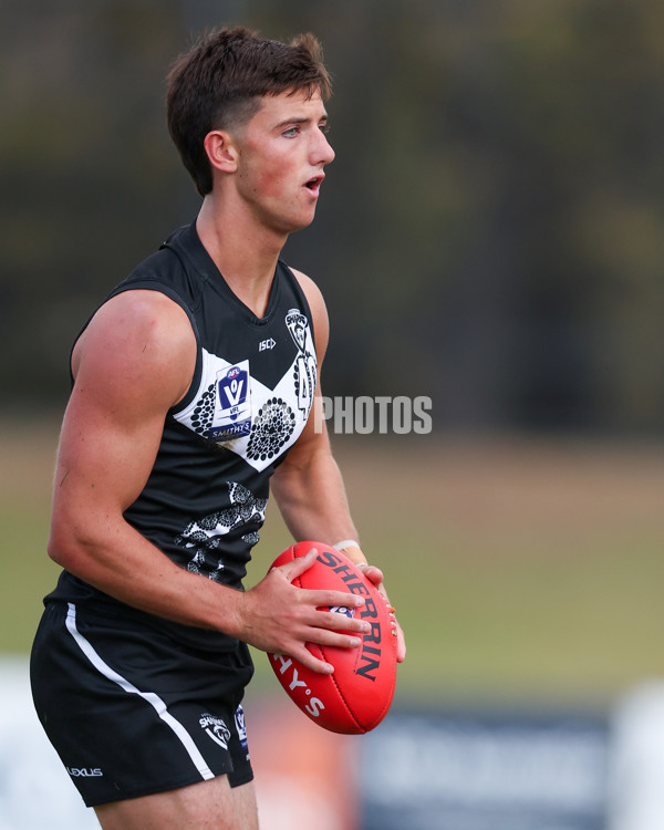 VFL 2025 Round 10 - Northern Bullants v Southport Sharks - A-59779552