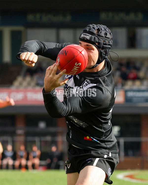 VFL 2025 Round 10 - Northern Bullants v Southport Sharks - A-59779553