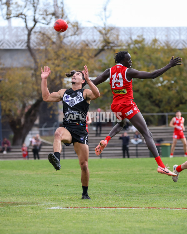 VFL 2025 Round 10 - Northern Bullants v Southport Sharks - A-59779569