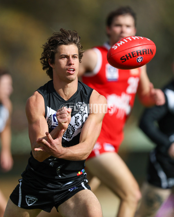 VFL 2025 Round 10 - Northern Bullants v Southport Sharks - A-59780299