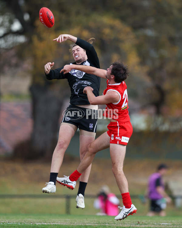 VFL 2025 Round 10 - Northern Bullants v Southport Sharks - A-59780301