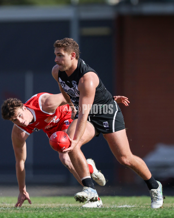 VFL 2025 Round 10 - Northern Bullants v Southport Sharks - A-59780302