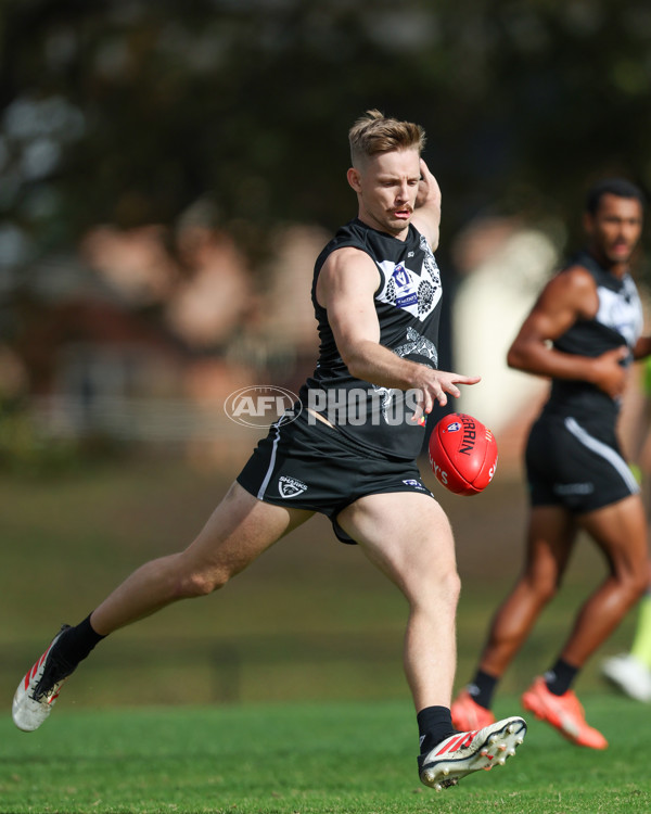 VFL 2025 Round 10 - Northern Bullants v Southport Sharks - A-59780304