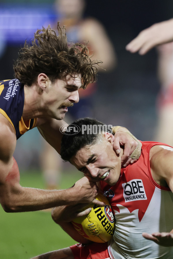 AFL 2025 Round 12 - Sydney v Adelaide - A-59780328