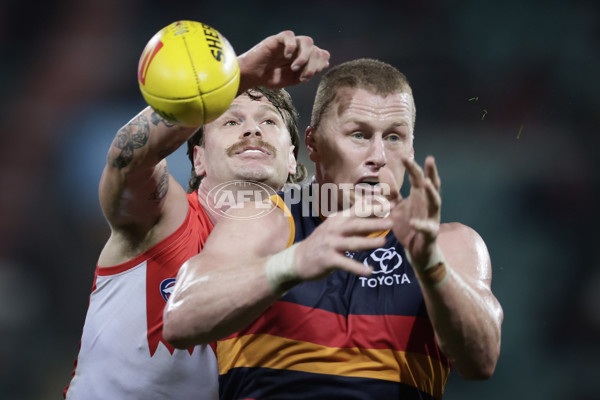 AFL 2025 Round 12 - Sydney v Adelaide - A-59780337