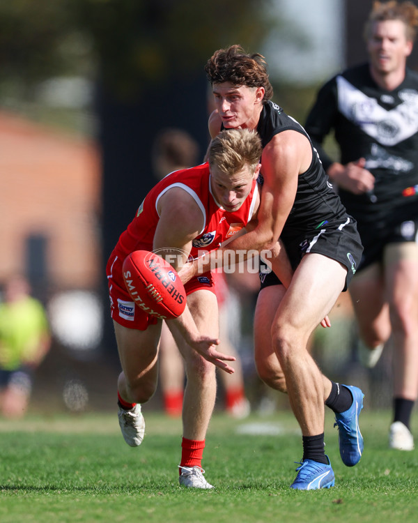 VFL 2025 Round 10 - Northern Bullants v Southport Sharks - A-59780365