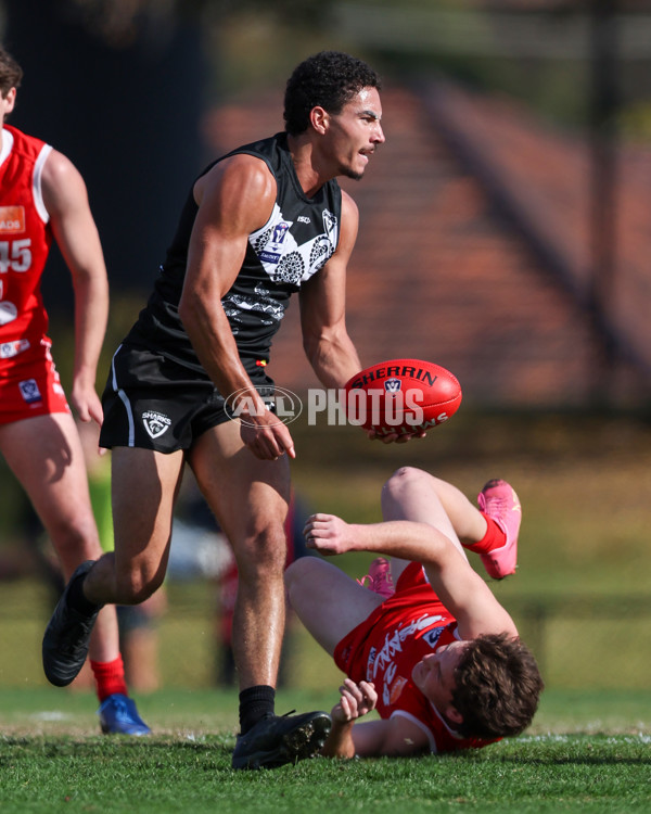 VFL 2025 Round 10 - Northern Bullants v Southport Sharks - A-59782314