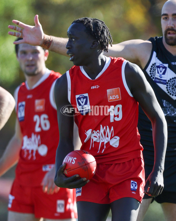 VFL 2025 Round 10 - Northern Bullants v Southport Sharks - A-59782346