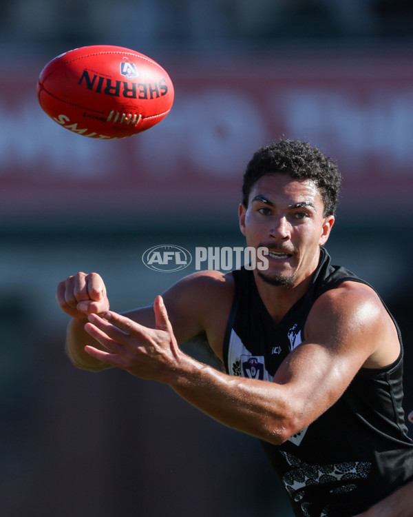 VFL 2025 Round 10 - Northern Bullants v Southport Sharks - A-59782350
