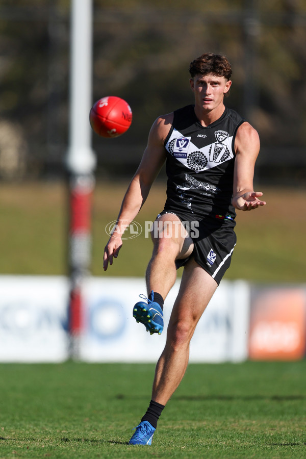 VFL 2025 Round 10 - Northern Bullants v Southport Sharks - A-59782356