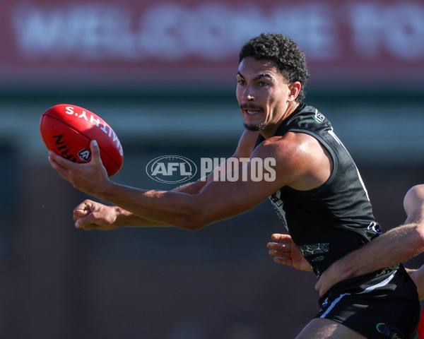 VFL 2025 Round 10 - Northern Bullants v Southport Sharks - A-59782369