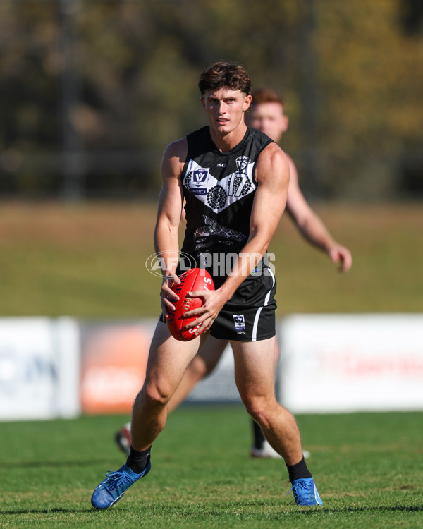 VFL 2025 Round 10 - Northern Bullants v Southport Sharks - A-59782371