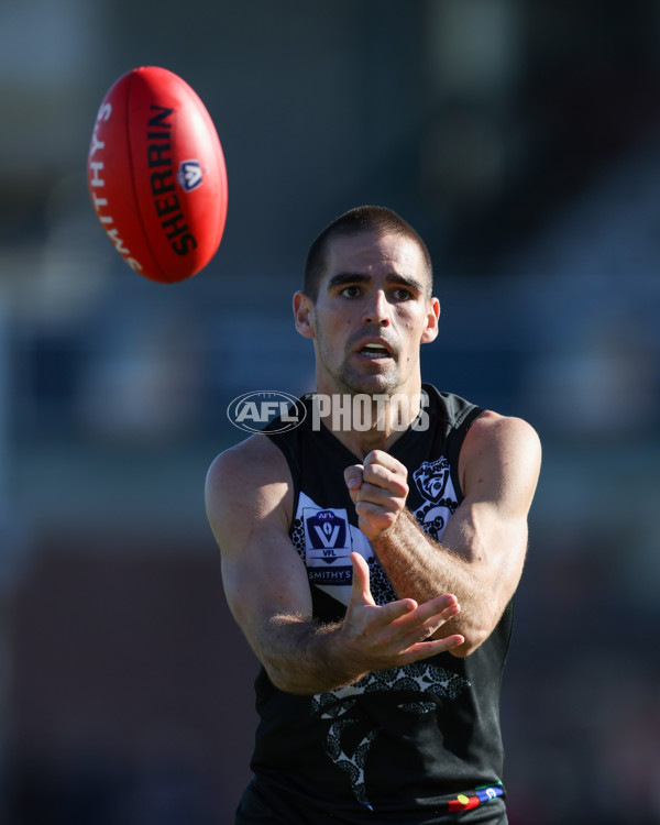 VFL 2025 Round 10 - Northern Bullants v Southport Sharks - A-59783067