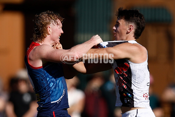 AFL 2025 Round 12 - Melbourne v St Kilda - A-59788248