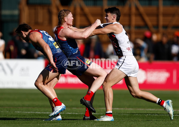 AFL 2025 Round 12 - Melbourne v St Kilda - A-59788257