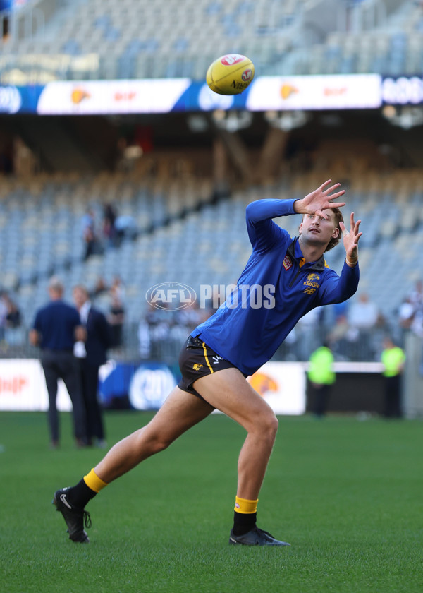 AFL 2025 Round 12 - West Coast v Geelong - A-59792648