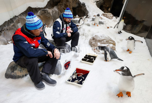 AFL 2025 Media - Big Freeze 11 Media Opportunity 030625 - A-59819668