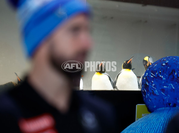 AFL 2025 Media - Big Freeze 11 Media Opportunity 030625 - A-59827984