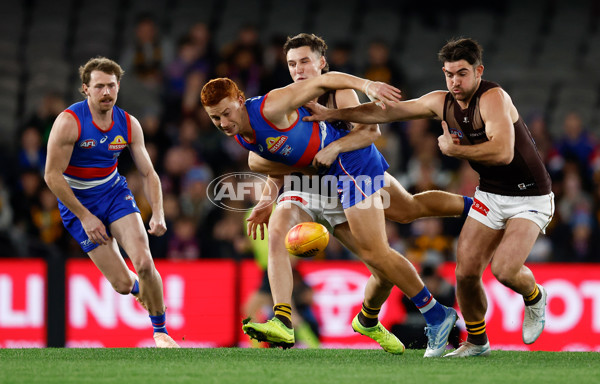 AFL 2025 Round 13 - Western Bulldogs v Hawthorn - A-59833859