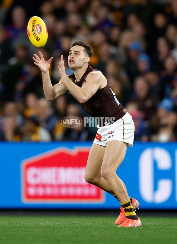 AFL 2025 Round 13 - Western Bulldogs v Hawthorn - A-59833864