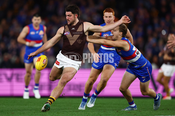 AFL 2025 Round 13 - Western Bulldogs v Hawthorn - A-59833901