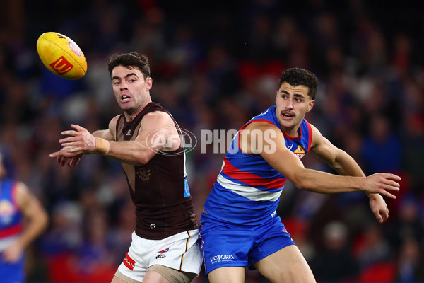 AFL 2025 Round 13 - Western Bulldogs v Hawthorn - A-59835613