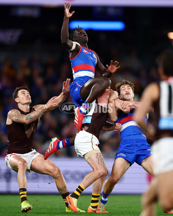 AFL 2025 Round 13 - Western Bulldogs v Hawthorn - A-59838734