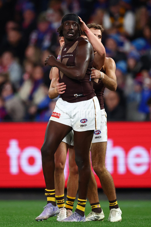 AFL 2025 Round 13 - Western Bulldogs v Hawthorn - A-59839379