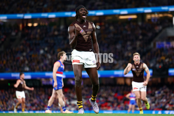 AFL 2025 Round 13 - Western Bulldogs v Hawthorn - A-59839391