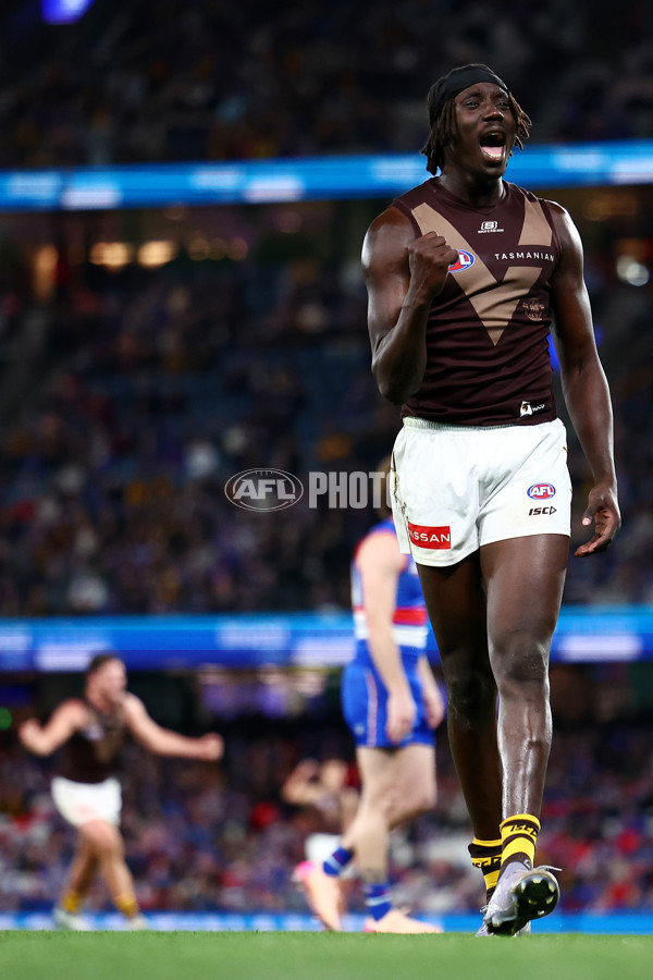 AFL 2025 Round 13 - Western Bulldogs v Hawthorn - A-59839392