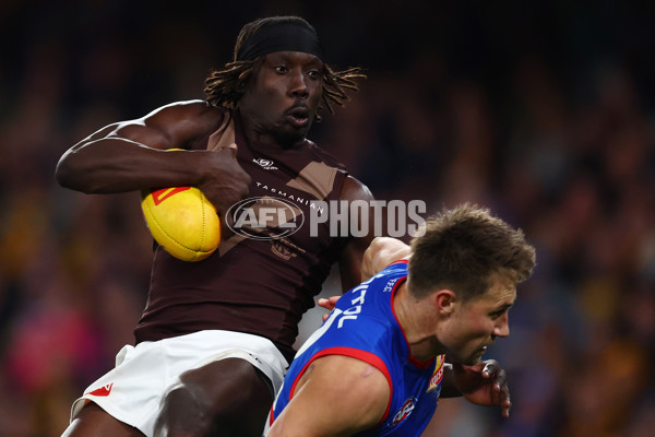 AFL 2025 Round 13 - Western Bulldogs v Hawthorn - A-59839411