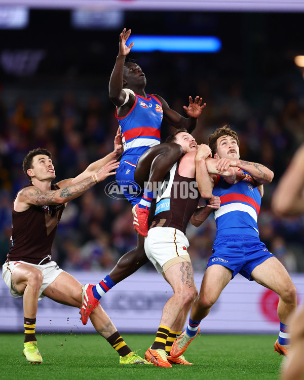 AFL 2025 Round 13 - Western Bulldogs v Hawthorn - A-59839420