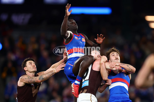 AFL 2025 Round 13 - Western Bulldogs v Hawthorn - A-59839421