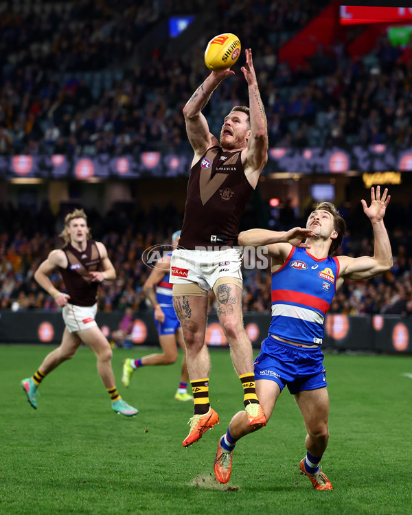 AFL 2025 Round 13 - Western Bulldogs v Hawthorn - A-59841827