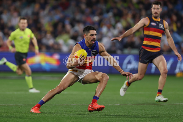 AFL 2025 Round 13 - Adelaide v Brisbane - A-59847747