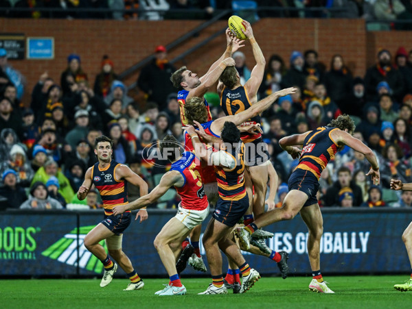 AFL 2025 Round 13 - Adelaide v Brisbane - A-59852874