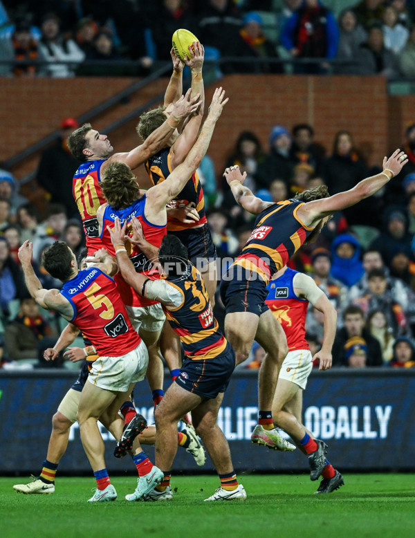 AFL 2025 Round 13 - Adelaide v Brisbane - A-59852877