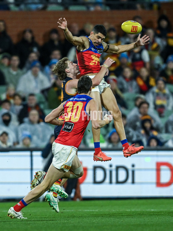 AFL 2025 Round 13 - Adelaide v Brisbane - A-59856489