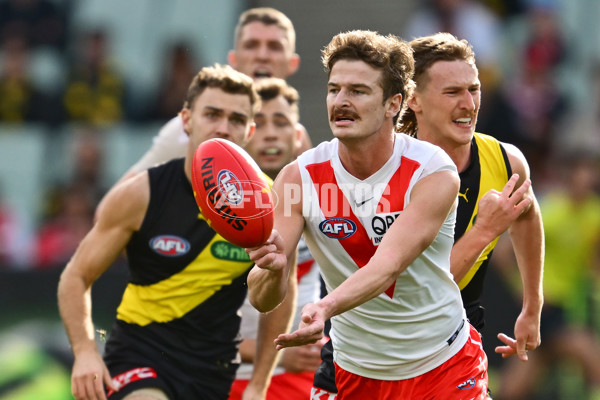 AFL 2025 Round 13 - Richmond v Sydney - A-59862663