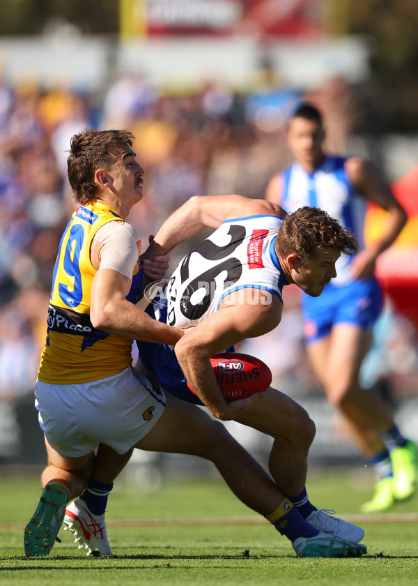AFL 2025 Round 13 - North Melbourne v West Coast - A-59897706