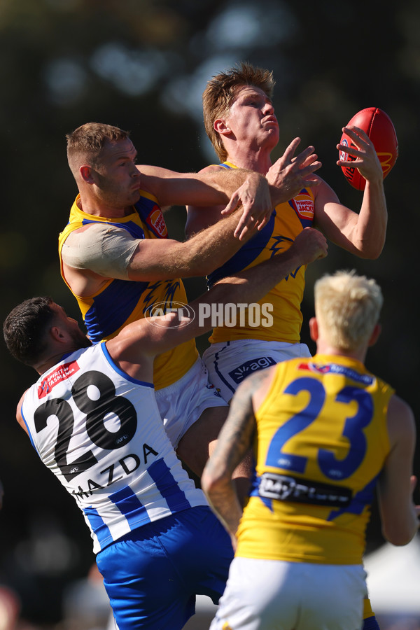 AFL 2025 Round 13 - North Melbourne v West Coast - A-59898911