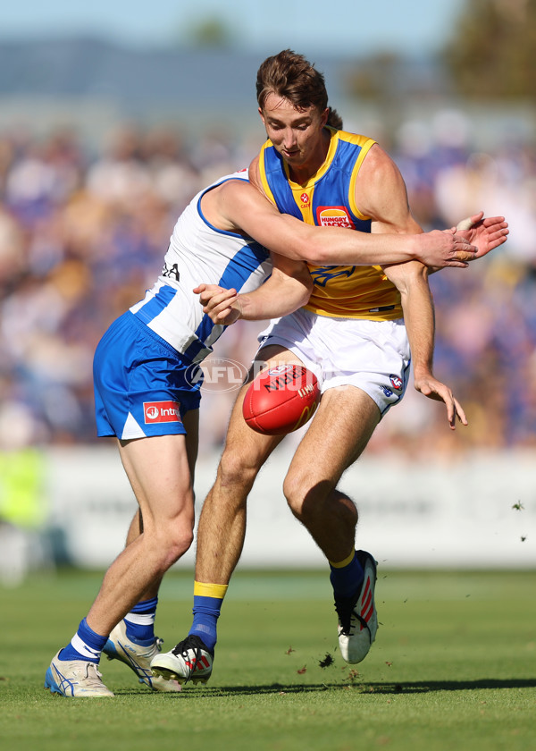 AFL 2025 Round 13 - North Melbourne v West Coast - A-59898919