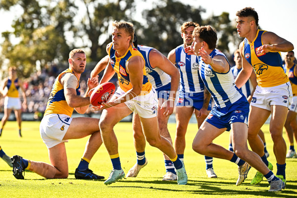 AFL 2025 Round 13 - North Melbourne v West Coast - A-59899568